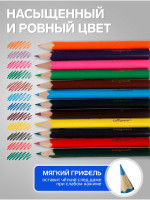  Calligrata , 12 , , , 