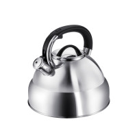 ������ Regent Inox Tea, �� ��������, 5 �