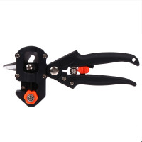  , 10.6 (27 ),   , Greengo