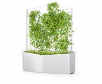 ���������� "������-6" �����