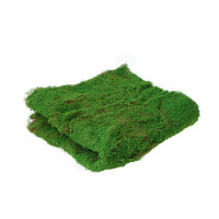  , ,  1 1 ,  , Greengo
