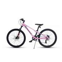  24 Maxiscoo 7bike M300,  