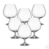     Crystalite Bohemia Colibri/gastro 690  (6 )