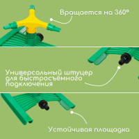  3-,  , Abs , Greengo