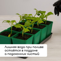 ����� ��� �������: ������� �� 600 �� (8 ��.), ������ 36 18 ��, ���� ����, Greengo