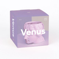  Doiy Venus,  