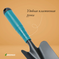   Greengo,  31 ,  8.5 ,  
