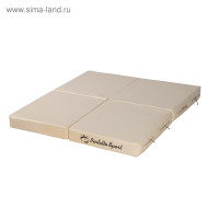  Perfetto Sport, 100  100  10 , , 4 , 