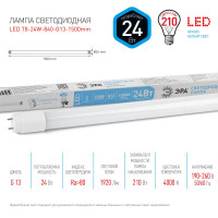    Standard , 24 , G13, 2100 