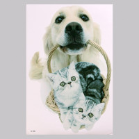   3 Take It Easy   , 57 40 