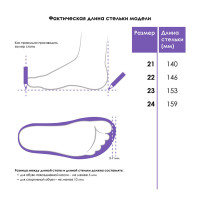 ��������� ��� �������� Playtoday, ������ 24