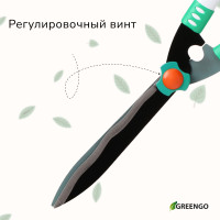, 19 (48 ),   , Greengo