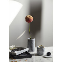     Liberty Jones Marm,  , D=5 , 2 