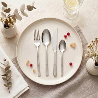 Dmc186 ����� ������ Bon Appetit 2��