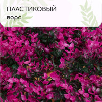  , 60   40 ,  , Greengo
