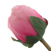   , L19 W15 H73 