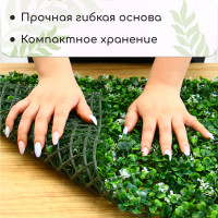  , 60 40 ,  , Greengo