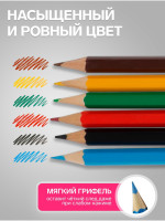  Calligrata , , 6 , , 