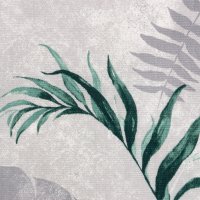  "" Tropics 144220, 100% , 164 /2