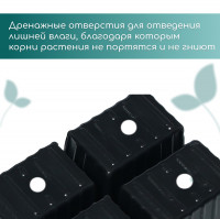   , 4   180 , , , 18   13   6 ,  10 ., Greengo