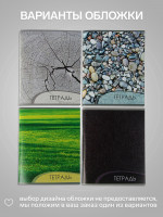  96   , Calligrata  2, 