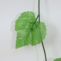    , 2.3 , ( 12 .)