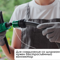 -, 12 ,  , , , Greengo