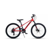  24 Maxiscoo 7bike M300,  
