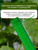    , 50 , , , Greengo