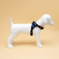  7  ,  S,  44-55 ,  5-9 , 