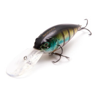  Namazu Willsy, L-75 , 22 , , , 4.0-6.0 ,  6