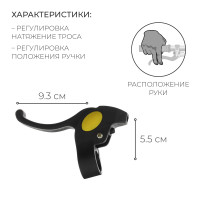 �������� ��������� ����� Dream Bike