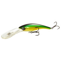  . Lj Original Deep Shiner, F, 11 ,  A037