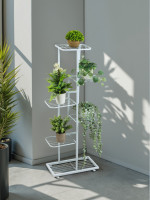 ��������� ��� ������ Greengo, 6 �����, 44 22 105 ��, ���������, ������, �����