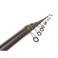     Salmo Diamond Bolognese Light Mf,  3-15 .,  6 .