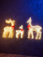   Frosty  , 64, 100, 100 , 1740 Led, 220v,   