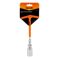 ���� ������� ���������, 21 ��, � �������� Sparta