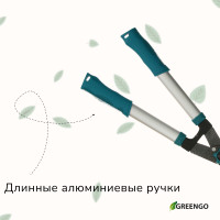 , 22 (56 ),  ,   , , Greengo