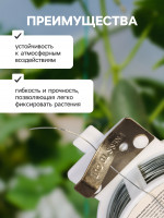   50 ,  0.7 ,  (), Greengo