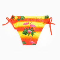 ������ ��� �������, ���� ����-�������, ���� 110-116 ��