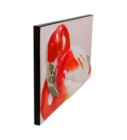 Art-107 ����� ��������