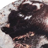 ������� Perfect Day