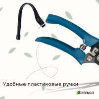  , 7 (18 ),   ,  , Greengo