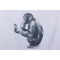     Monkey, 180200 