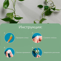    , , D=9 ,  , Greengo
