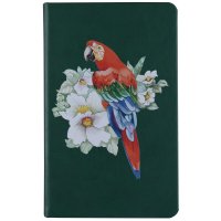 ���������� Basis Mini, ��������������, �������