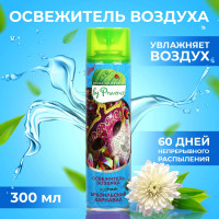       green Collection By Provence,  