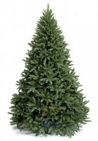   Royal Christmas Washington Premium 180 