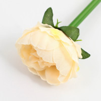 ����� ���������� ��� �������, �������, ����� �����, ������� ���� 1 �� �������� �� ��� ����!�