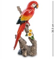 Mn- 12 ������ ������� ���